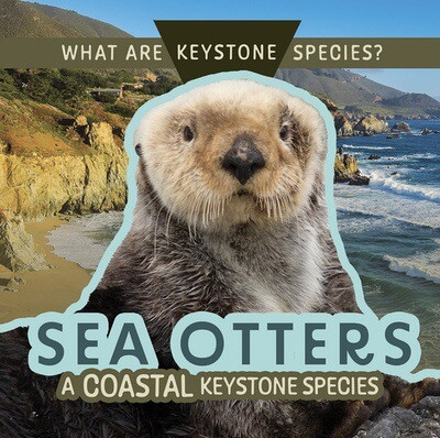 Sea Otters: A Coastal Keystone Species by Kathleen A. Klatte, 9781499446623