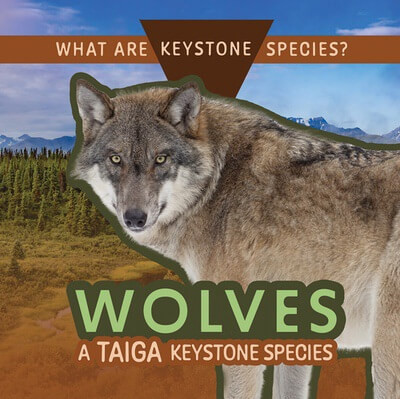 Wolves: A Taiga Keystone Species by Kathleen A. Klatte, 9781499446654