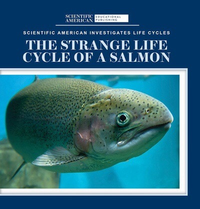 The Strange Life Cycle of a Salmon by Anna McDougal, 9781725350960
