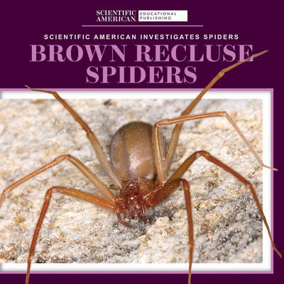 Brown Recluse Spiders - 9781725351202 by Roxanne Aldolpho, 9781725351202