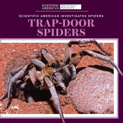 Trap-Door Spiders - 9781725351332 by Roxanne Aldolpho, 9781725351332