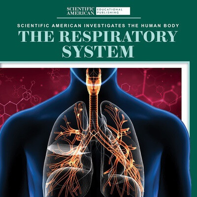 The Respiratory System - 9781725351486 by Leigh McClure, 9781725351486