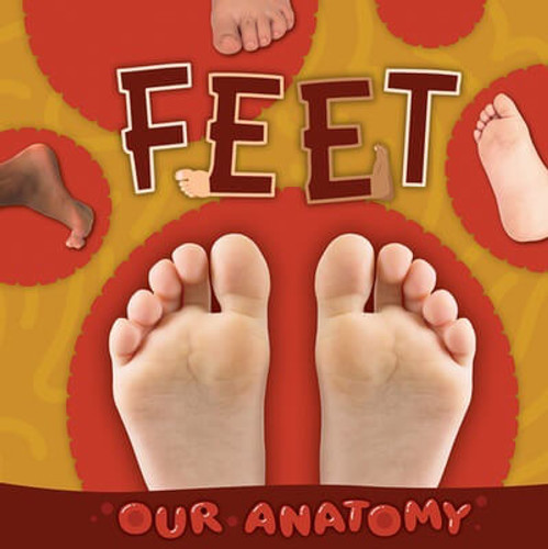 Feet - 9781482468403 by Rebecca Phillips-Bartlett, 9781482468403