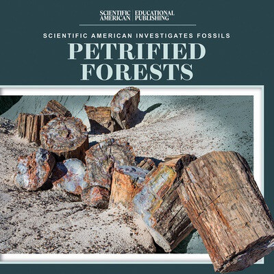 Petrified Forests - 9781725352056 by Natalie Humphrey, 9781725352056