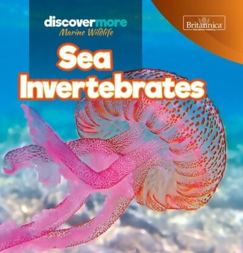 Sea Invertebrates by Kaitlyn Salvatore, 9781641903592