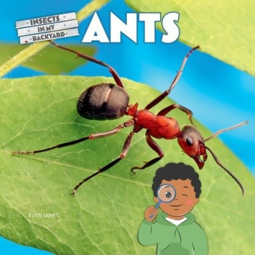 Ants - 9781684502424 by Ryan James