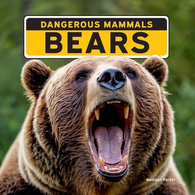 Bears - 9781684502608 by Madison Parker, 9781684502608