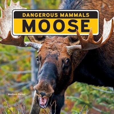 Moose - 9781684502622 by Madison Parker, 9781684502622