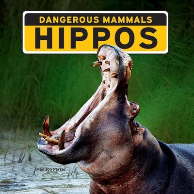 Hippos - 9781684502660 by Madison Parker, 9781684502660