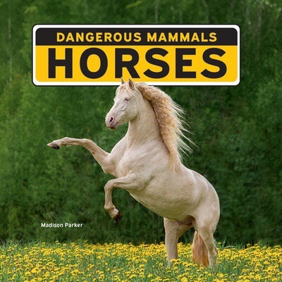 Horses - 9781684502745 by Madison Parker, 9781684502745