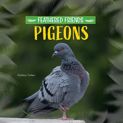 Pigeons - 9781684502844 by Madison Parker, 9781684502844