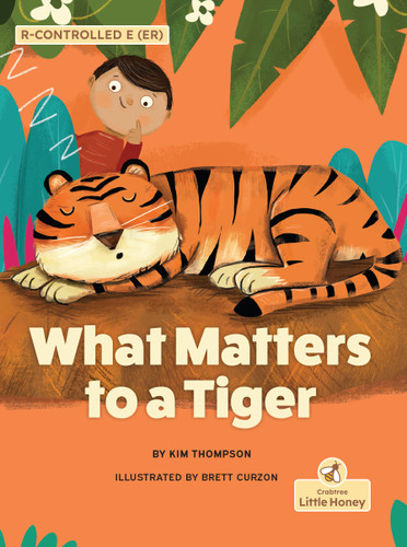 What Matters to a Tiger - 9781039865402 by Kim Thompson, Brett Curzon, 9781039865402