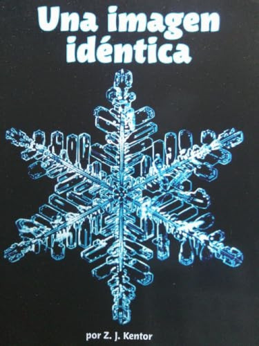 Una imagen idTntica (Math Reader; CAC26/TXC16) (Spanish Edition) by Math, 9780618934072