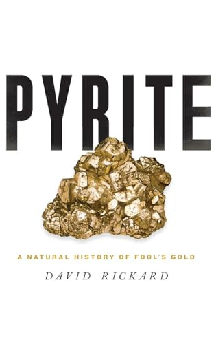 Pyrite (A Natural History of Fool's Gold) by David Rickard, 9780190203672