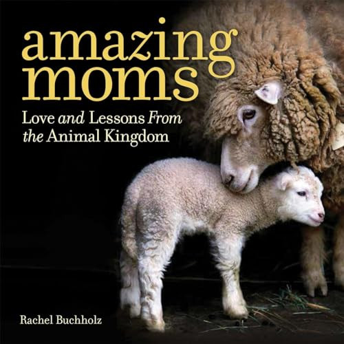 Amazing Moms (Love and Lessons From the Animal Kingdom) by Rachel Buchholz, 9781426216671