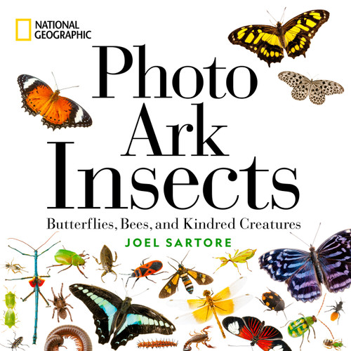 National Geographic Photo Ark Insects (Butterflies, Bees, and Kindred Creatures) by Joel Sartore, 9781426223112 National Geographic Photo Ark Insects (Butterflies, Bees, and Kindred Creatures) by Joel Sartore, 9781426223112