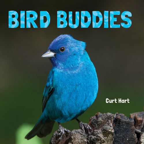 Bird Buddies - 9781486729159 by Curt Hart, 9781486729159