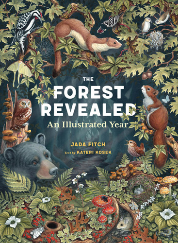 The Forest Revealed (An Illustrated Year) by Jada Fitch, Kateri Kosek, 9781635868821