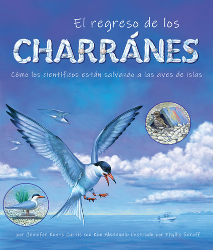 El regreso de los charranes: Cómo los científicos están salvando a las aves de islas (Spanish Edition) by Jennifer Keats Curtis, Kim Abplanalp, Phyllis Saroff, 9781638173472