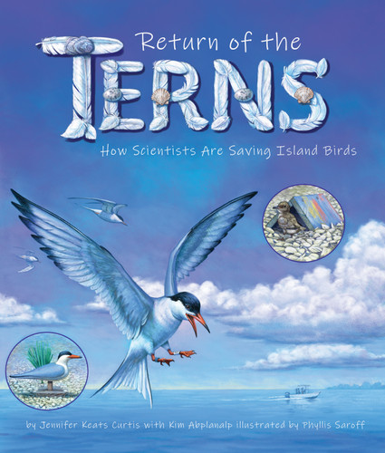 Return of the Terns: How Scientists Are Saving Island Birds by Jennifer Keats Curtis, Kim Abplanalp, Phyllis Saroff, 9781638173298