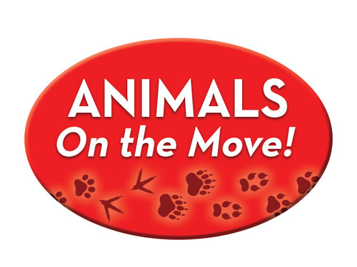 Animals On the Move! (Set) by Pearl Markovics, 9781642801408