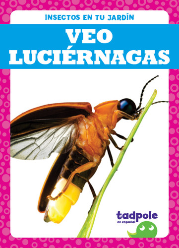 Veo luciérnagas (I See Fireflies) by Genevieve Nilsen, 9781641285315