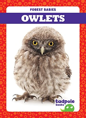 Owlets by Genevieve Nilsen, Dana Flemming, 9781624969645