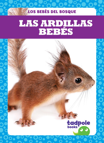Las ardillas bebés (Squirrel Kits) by Genevieve Nilsen, 9781641280822