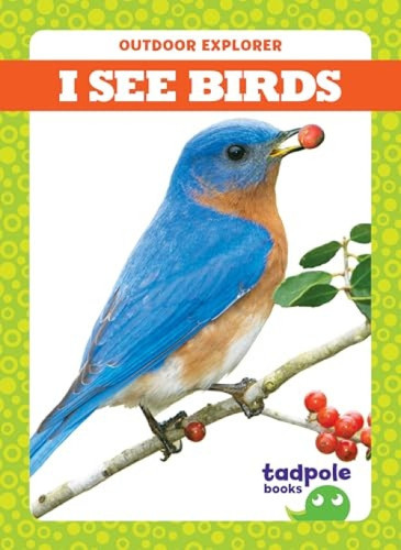 I See Birds by Tim Mayerling, Dana Flemming, 9781620319376