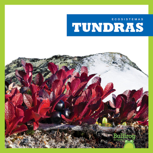 Tundras (Tundras) (Spanish Edition) by Nadia Higgins, 9781620318072