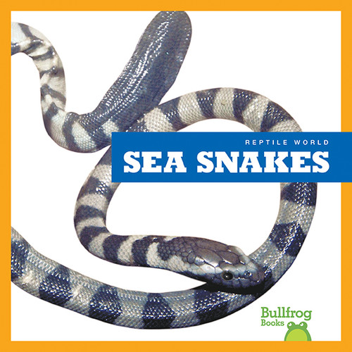 Sea Snakes - 9781620313855 by Vanessa Black, 9781620313855