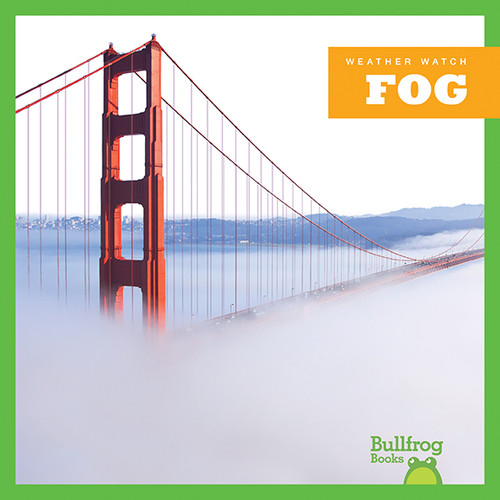 Fog by Jenny Fretland VanVoorst, 9781620313886