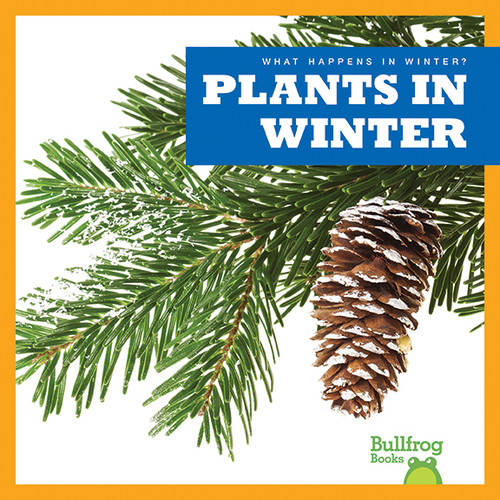 Plants in Winter by Jenny Fretland VanVoorst, 9781620313954