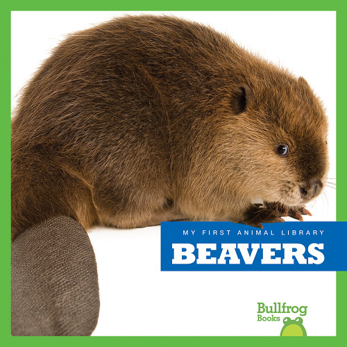 Beavers - 9781620311738 by Mari Schuh, 9781620311738