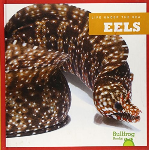 Eels - 9781620310977 by Cari Meister