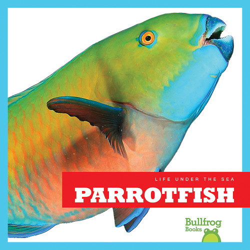Parrotfish - 9781620311004 by Cari Meister, 9781620311004
