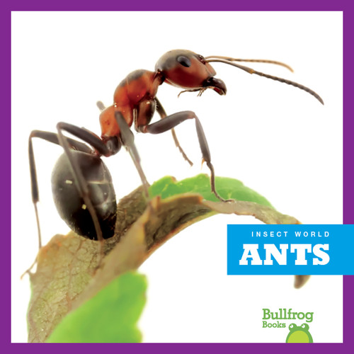 Ants - 9781620310502 by Mari Schuh, 9781620310502