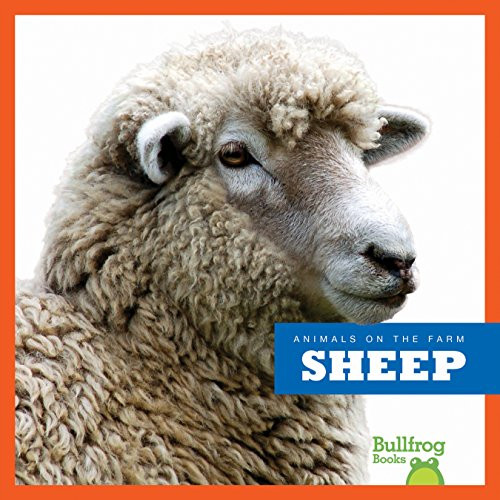 Sheep - 9781620316337 by Wendy Strobel Dieker, 9781620316337