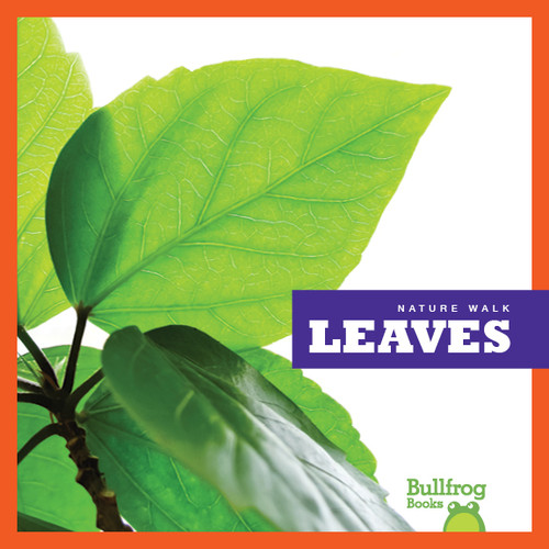Leaves - 9781620314470 by Rebecca Stromstad Glaser, 9781620314470