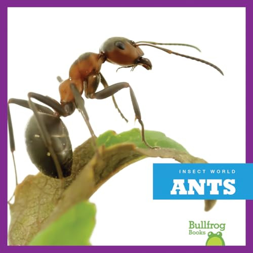 Ants - 9781620314661 by Mari Schuh, 9781620314661