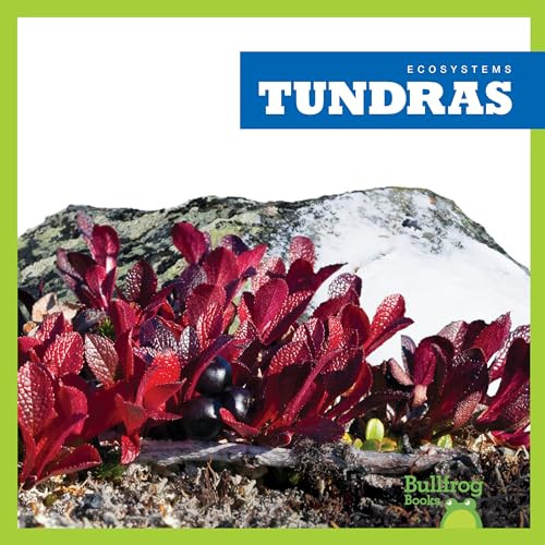 Tundras - 9781620317358 by Nadia Higgins, 9781620317358