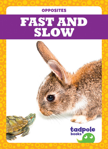Fast and Slow - 9781620317716 by Erica Donner, 9781620317716
