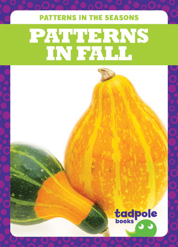 Patterns in Fall - 9781620317761 by Tim Mayerling, 9781620317761
