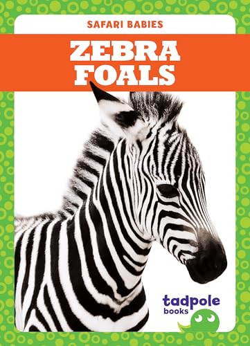 Zebra Foals - 9781641282505 by Genevieve Nilsen, Clayton Hansen, 9781641282505