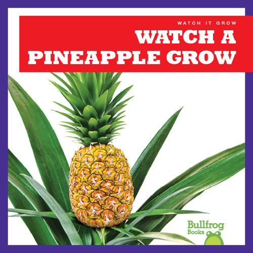 Watch a Pineapple Grow - 9781641282598 by Kirsten Chang, 9781641282598