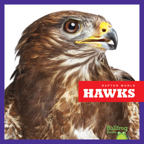 Hawks - 9781641286305 by Jenna Lee Gleisner, 9781641286305