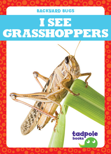 I See Grasshoppers - 9781641287999 by Genevieve Nilsen, 9781641287999