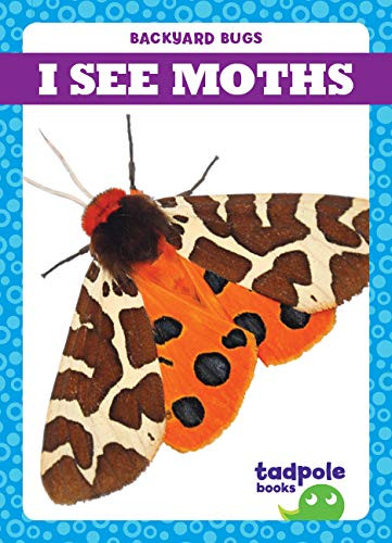I See Moths - 9781641288026 by Genevieve Nilsen, Clayton Hansen, 9781641288026