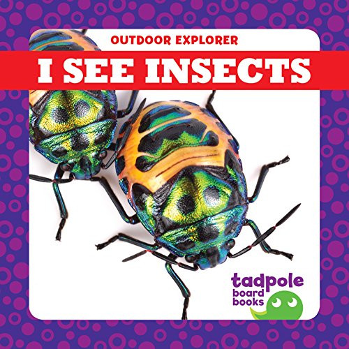 I See Insects - 9781641281287 by Tim Mayerling, Dana Flemming, 9781641281287