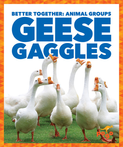 Geese Gaggles by Karen Latchana Kenney, 9781641288477
